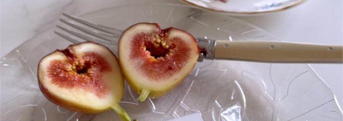 ホルン