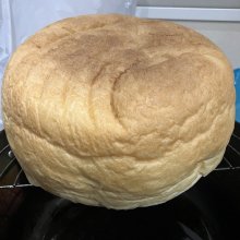 pzn24047さんの写真