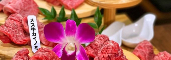 ハヌル