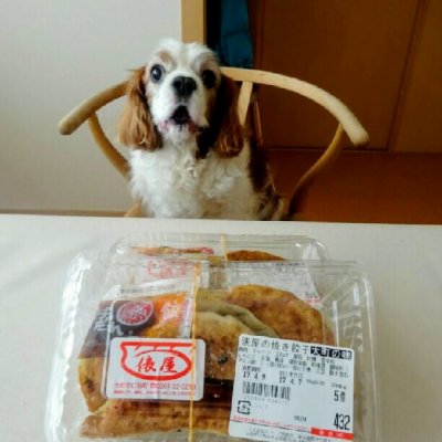 大北農協aコープ常盤店 餃子 大北農協aコープ常盤店 餃子