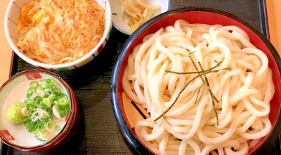 手打ち玉出うどん うどん