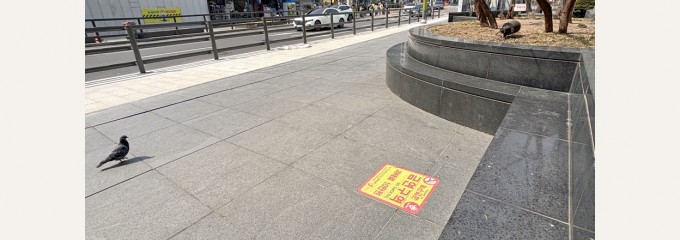 キョチョンチキン東大門店