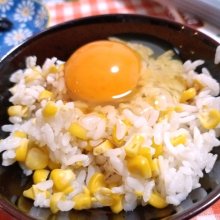 kralingenさんの写真