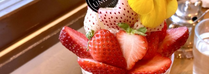 フルーツパーラー 果樹園