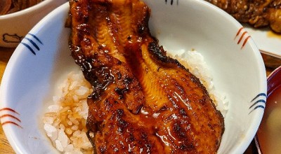 うなぎ処 京丸 伊豆 熱海 三島 沼津 うなぎ どじょう