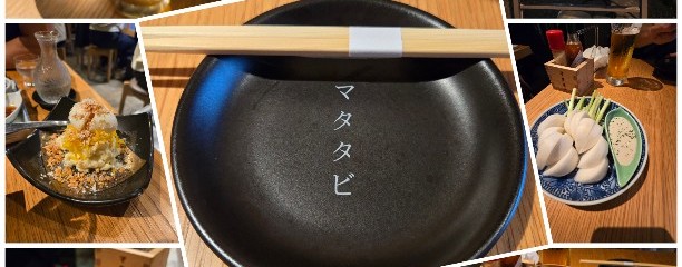 酒場食堂マタタビ