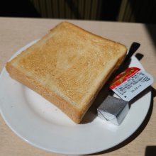 t_rex24さんの写真