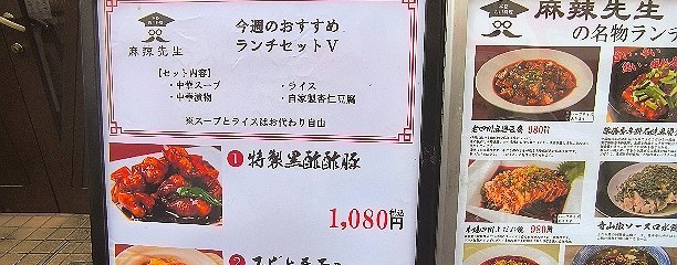 本格四川料理 麻辣先生