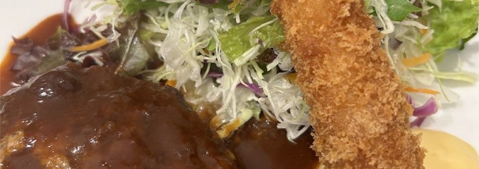 ナカデラニチョウメハンバーグ サンタベ