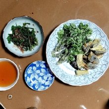 MIRIJIさんの写真