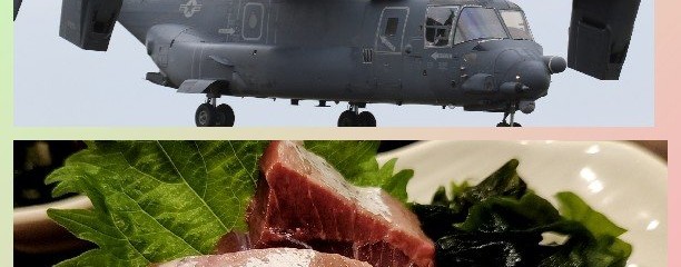 楽今 らっこん
