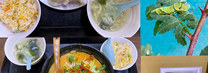 兆奎餃子
