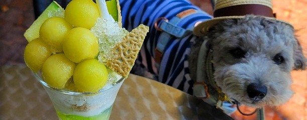神椿
