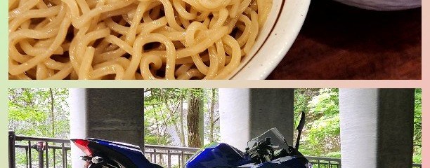 美豚