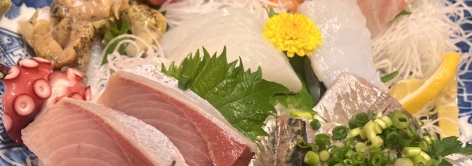 GOCHI ときわ