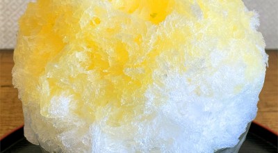 たい焼き なみへい 鎌倉 逗子 葉山 由比ケ浜 スイーツ その他