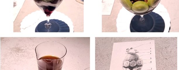 アサコ イワヤナギ サロン ド テ