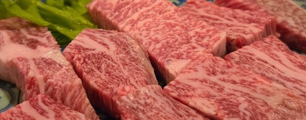 ホルモン居酒屋 健ちゃんち