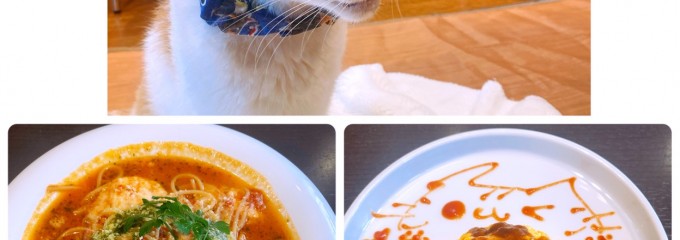 宇都宮　猫カフェ　猫見家