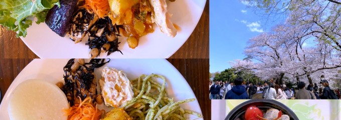 veggie tempo