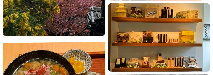 ダンデライオン チョコレート ジャパン