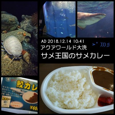 アクアワールド茨城県大洗水族館 丼もの