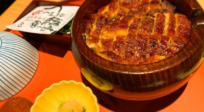 しら河 今池ガスビル店 千種区 昭和区 瑞穂区 今池駅 うなぎ どじょう