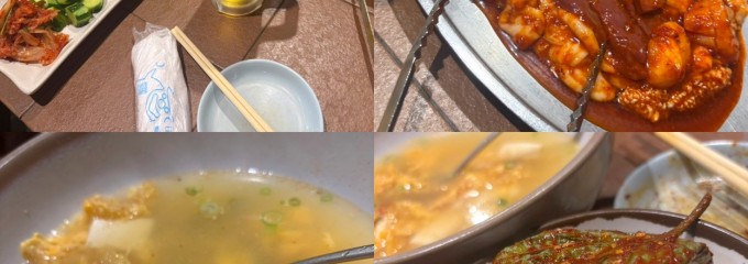 のぎく