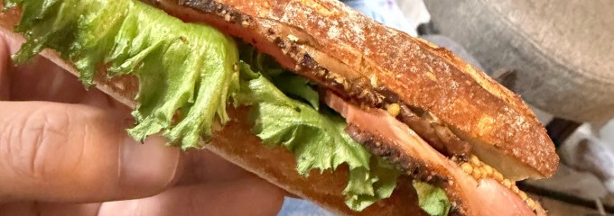 ハルカ ブレッズ