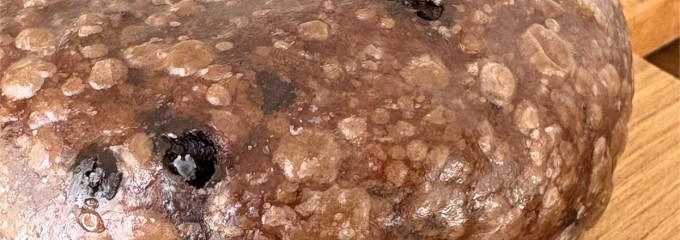 ポルダーベーグル