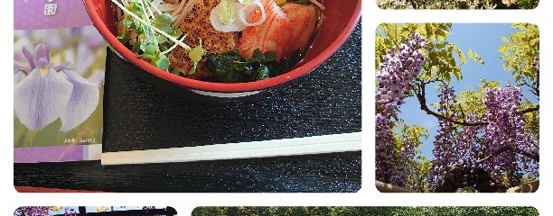 横須賀しょうぶ園　レストラン