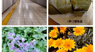 伊勢屋 本店 東京 日本橋 大手町 門前仲町 和菓子