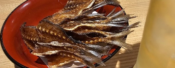 鮨 酒 肴 杉玉 本厚木