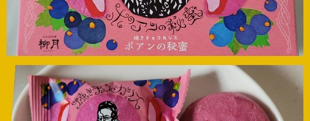 柳月三方六Studio千歳空港店