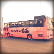 umechannoさんの写真