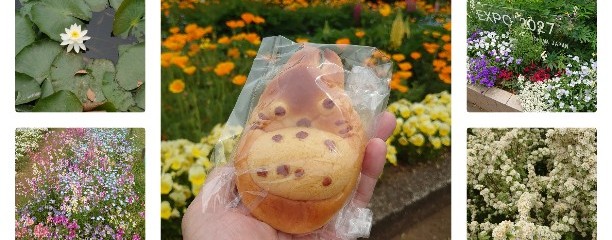 パン ドナノッシュ 藤沢弥勒寺店