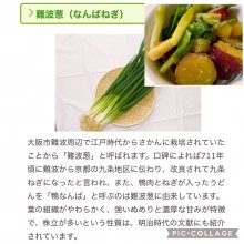 michiko_sanさんの写真