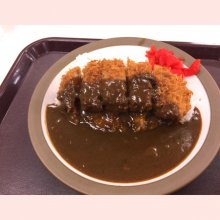 TANUKI_SHIGARAKIさんの写真
