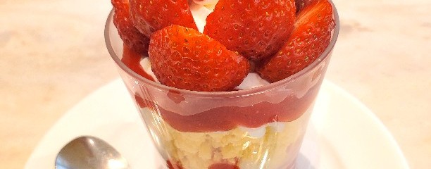 アンテノール 小倉井筒屋店