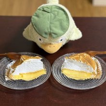 kurokiさんの写真