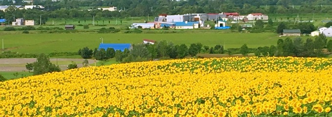北海道立サンピラーパーク