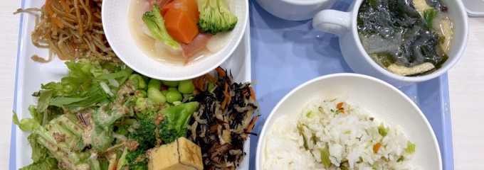 東横イン 福山駅新幹線南口