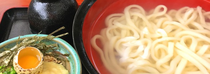 本場手打ちうどん さぬき