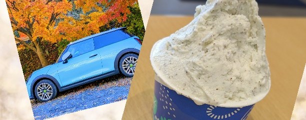 道の駅常陸大宮 かわプラザ