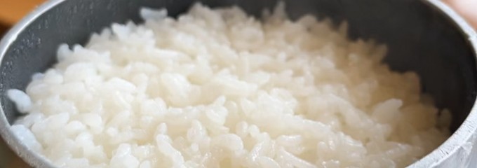 レストラン 針葉樹