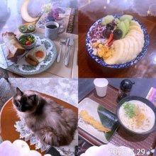 sariyuiさんの写真