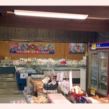 TANUKI_SHIGARAKIさんの写真