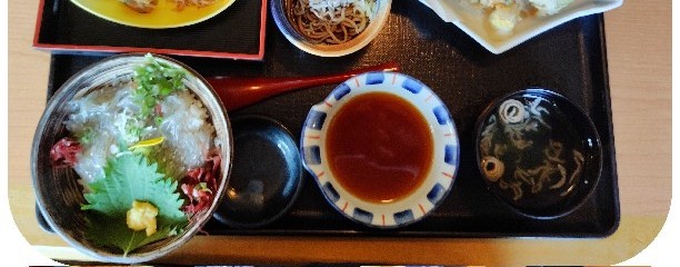 快飛
