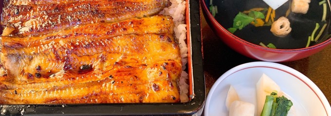 正徳寺温泉 初花