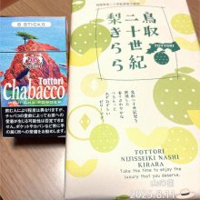 YukikoNuさんの写真